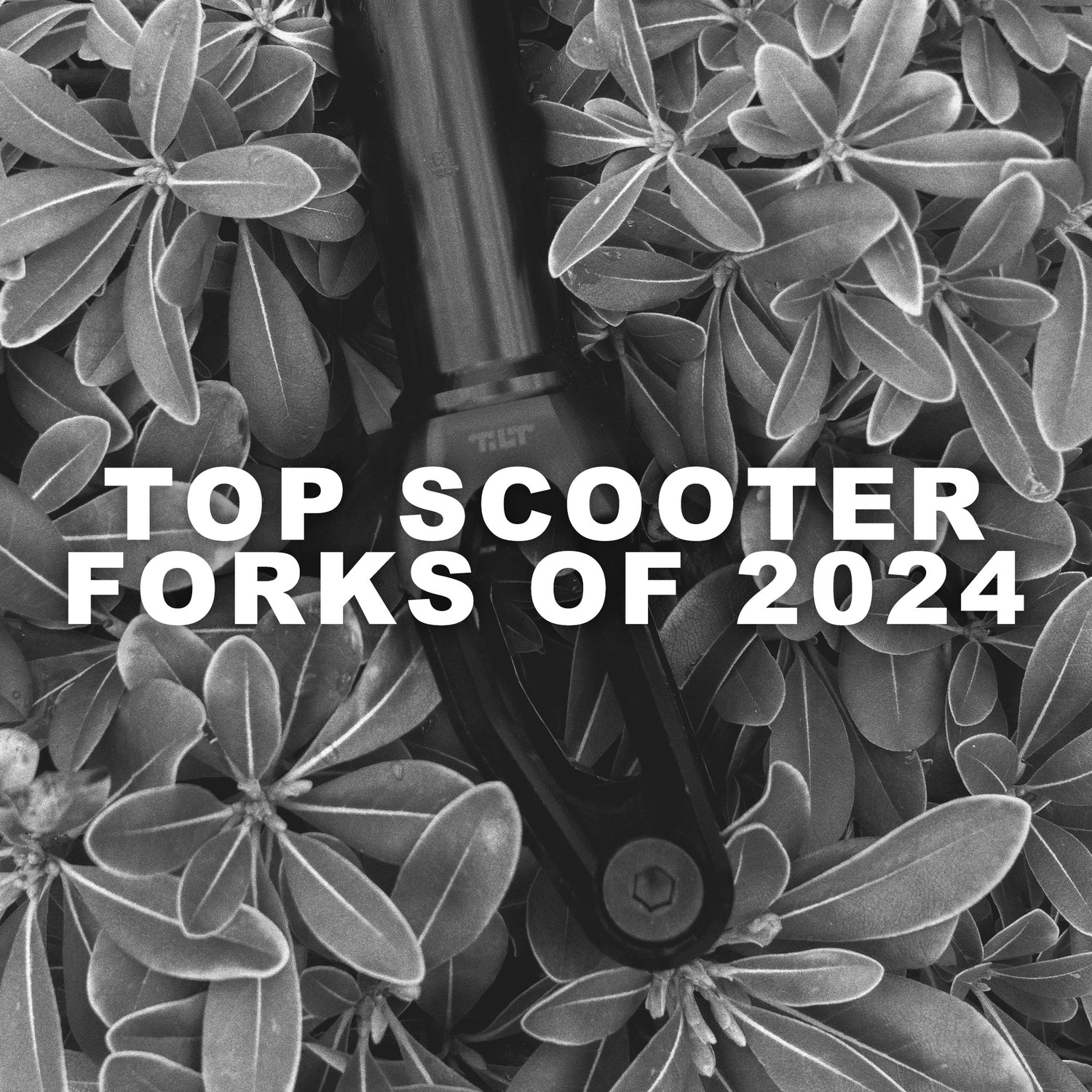 Top Scooter Forks of 2024