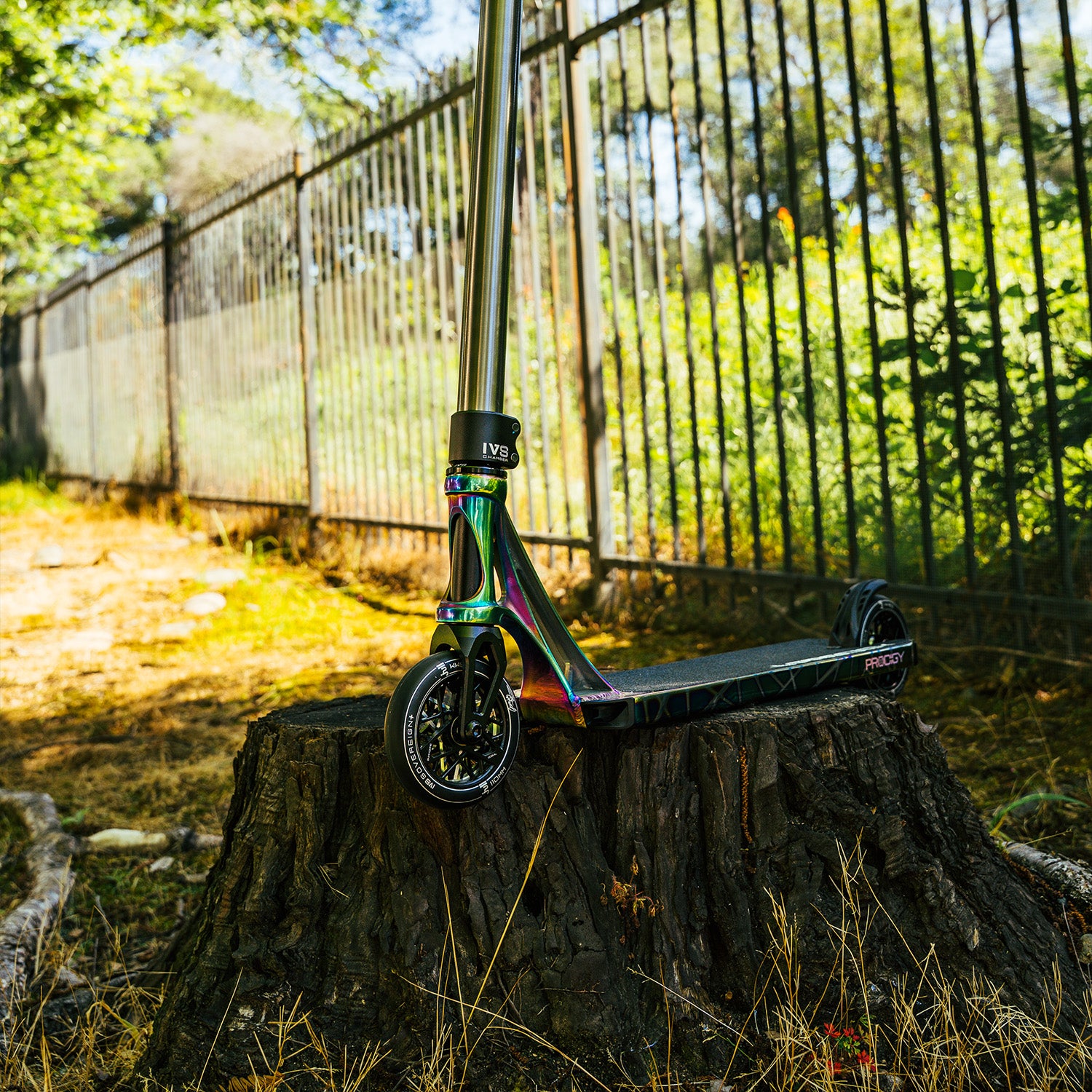 Custom Park Build #1