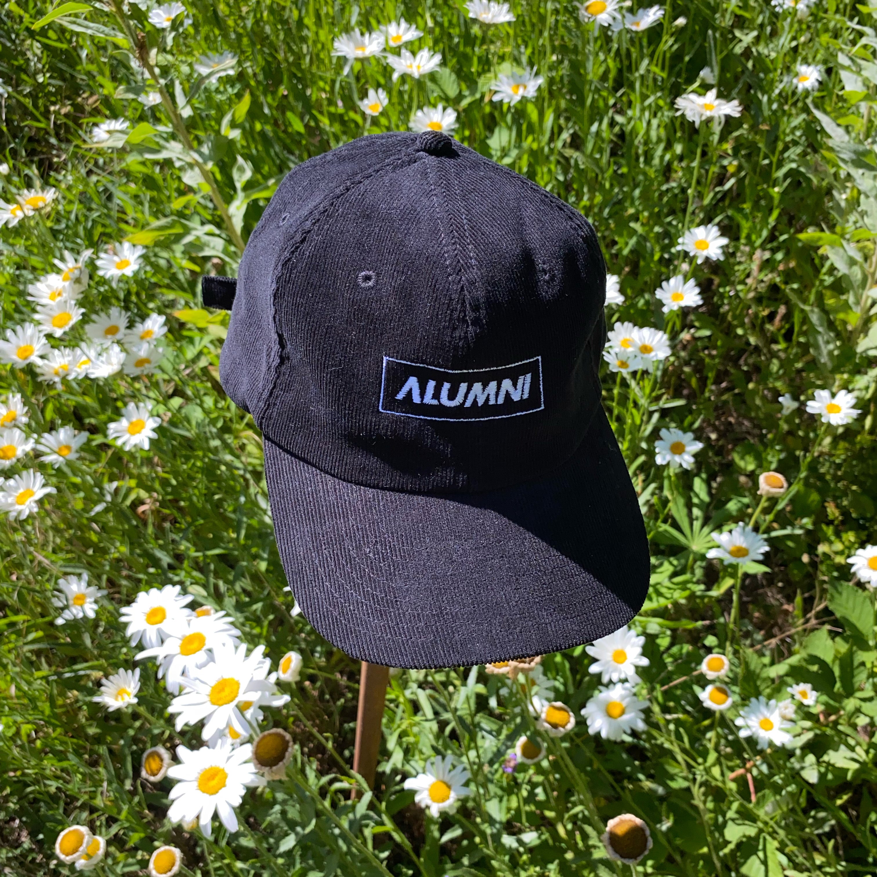 Alumni Vintage Corduroy Cap